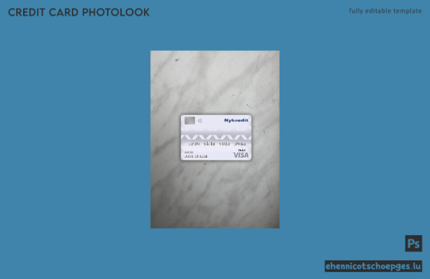 Dänemark Nykredit Bank Visa Debitkarte Photolook Beispielvorschau